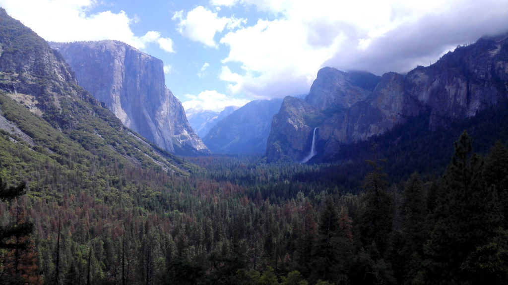 Tunnel View im Yosemite National park