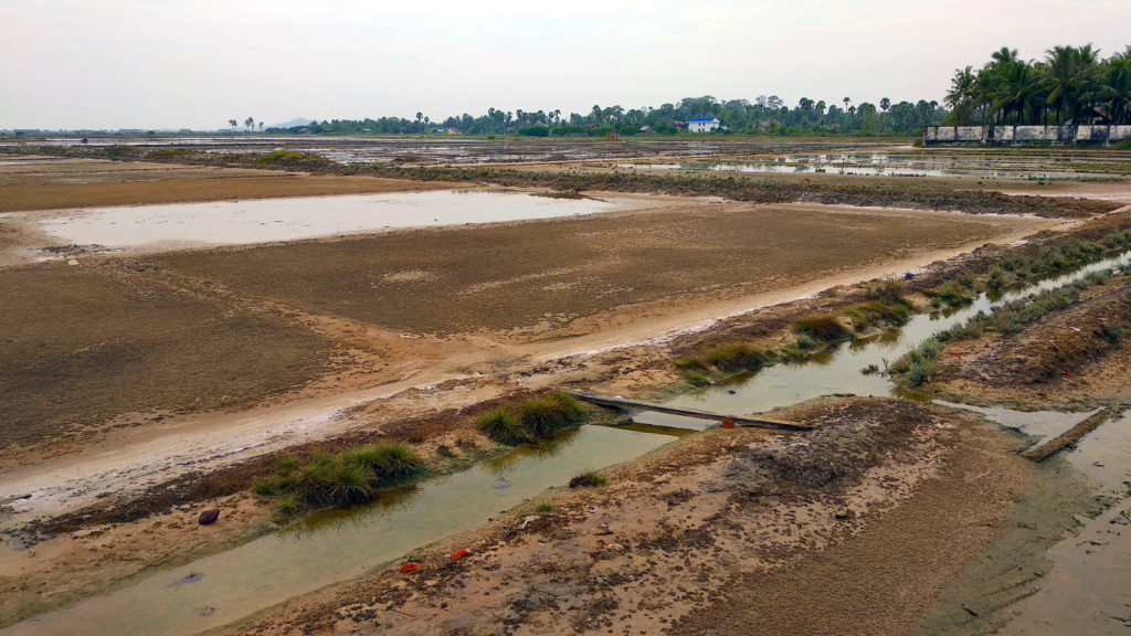 Salzfelder in Kampot