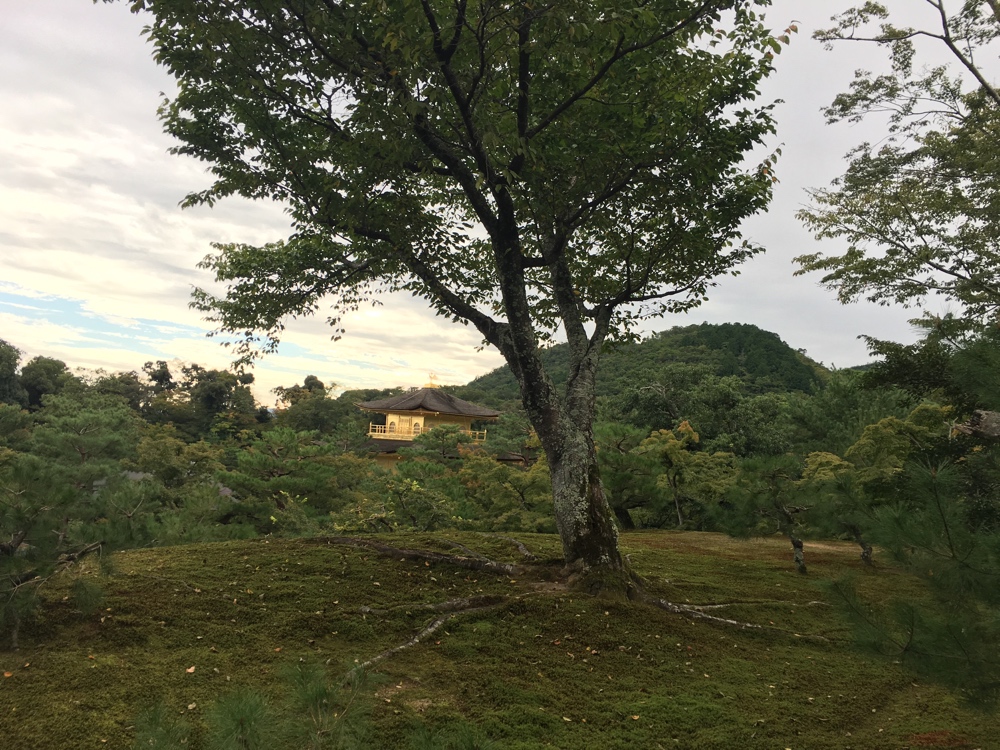 Kinkaku-Ji Berge - Kyoto