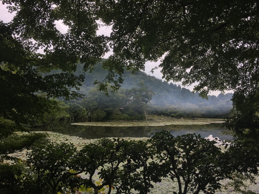 Kinkaku-Ji, Kyoto