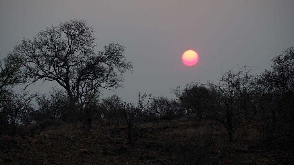 Sonnenuntergang im Kruger NP
