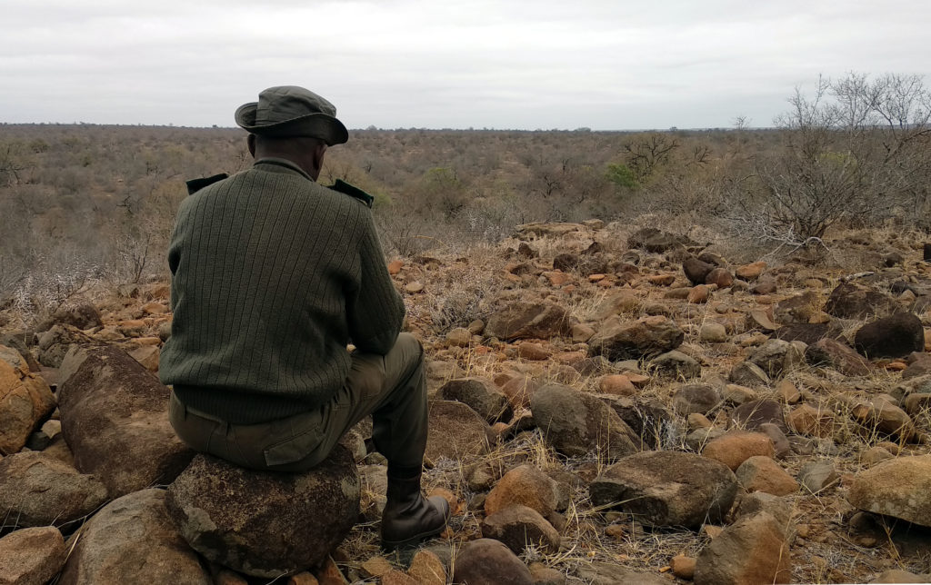 Ranger Central Kruger