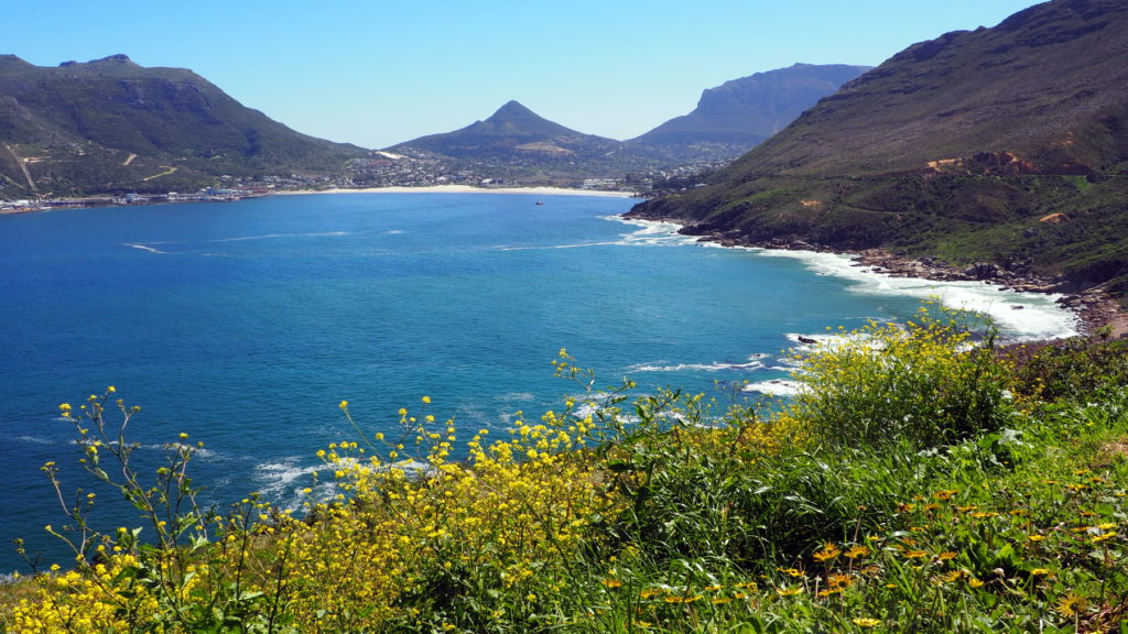 Blick auf Hout Bay