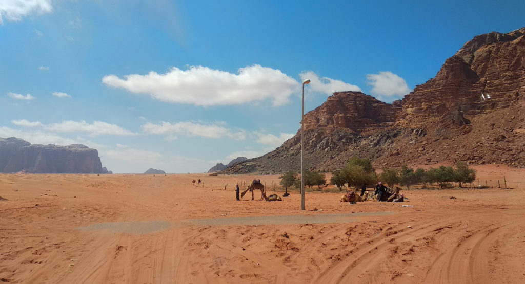 Kamele im Wadi Rum Village
