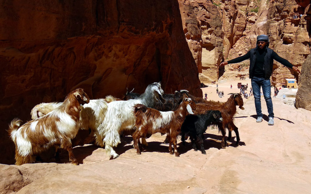 Ziegenhirte in Petra, Jordanien