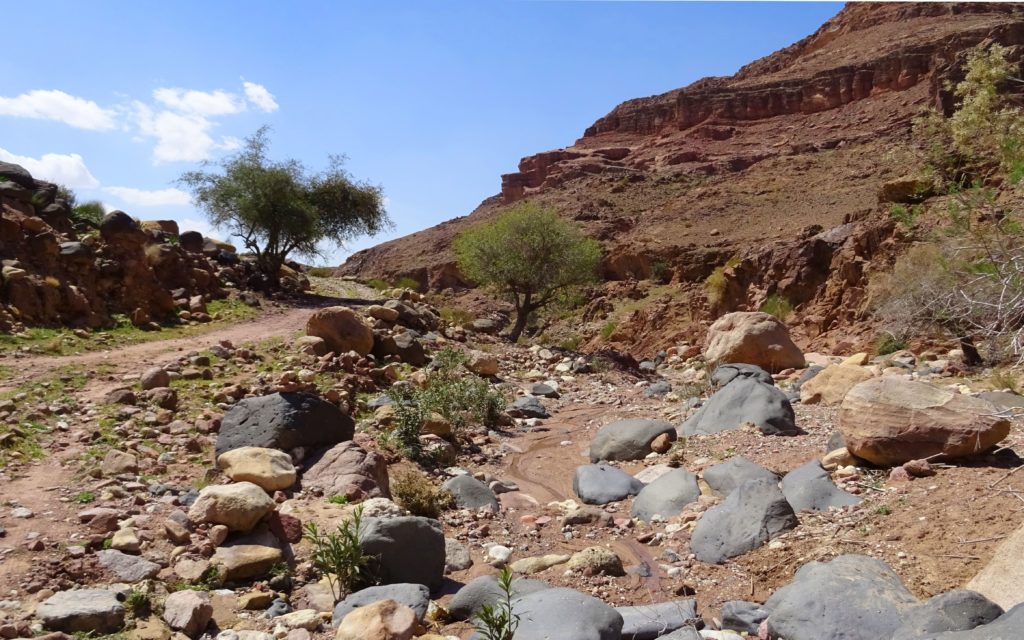 Ausgetrocknetes-Flussbett-im-Wadi-Dana