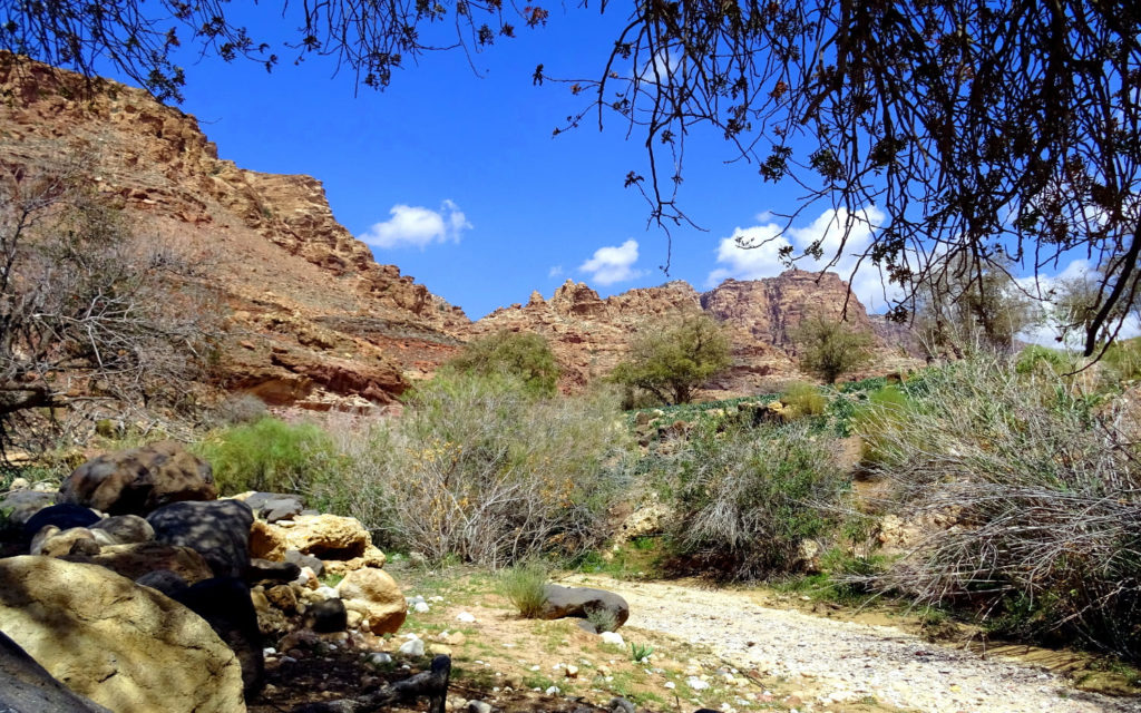 Natur pur im Wadi Dana
